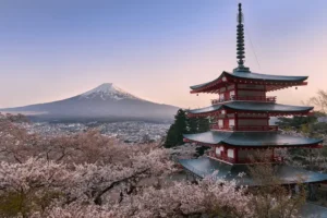 Mount Fuji and a red pagoda framed by cherry blossoms in Japan