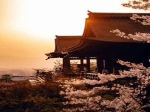 Kiyomizu-dera temple in Kyoto, Japan at sunset with cherry blossoms