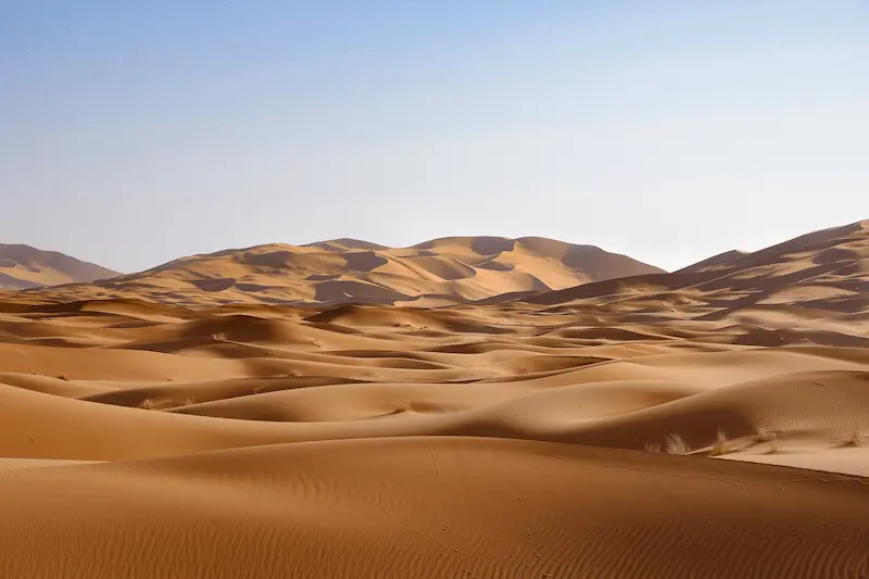 Golden sand dunes in the desert