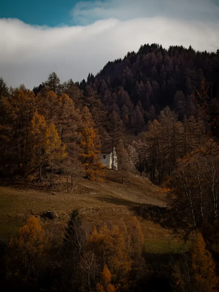 Autumn forest with golden larch trees and a small white house on a hillside in Graubünden, Switzerland