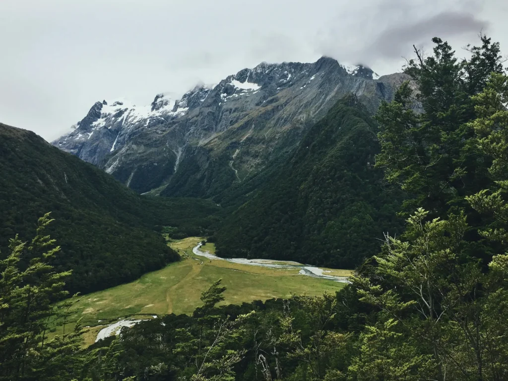 A river winding through a forested valley on a Great Walk track in Fiordland