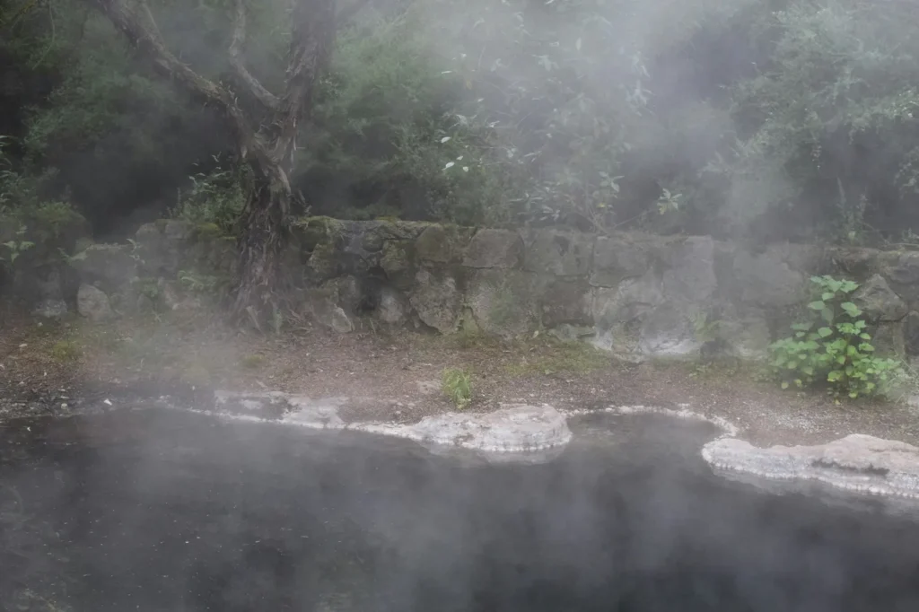 Steam rising from a geothermal pool in Rotorua, North Island
