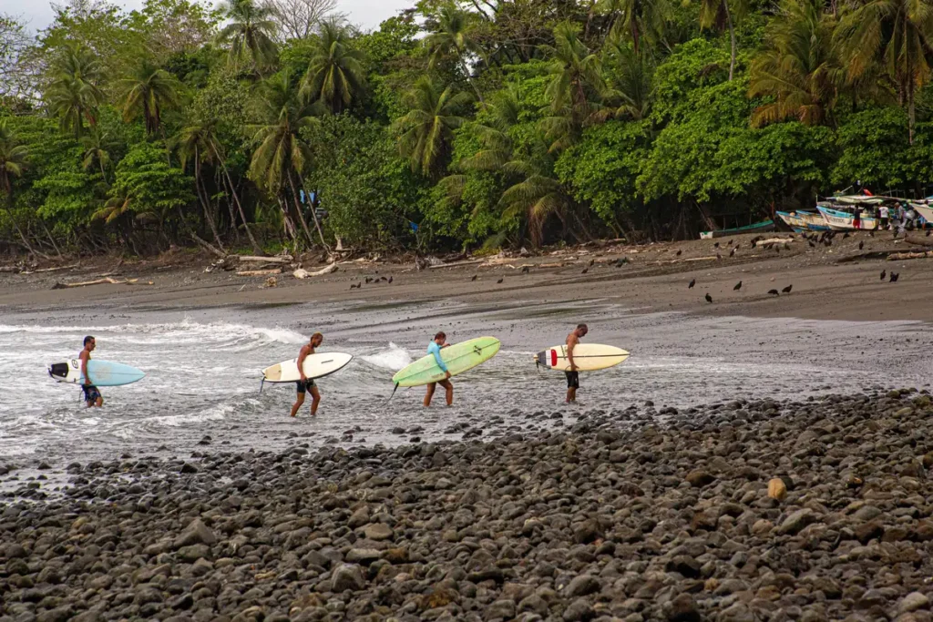 Four surfers carrying boards across a rocky, black-sand Pacific beach lined with palm trees, with fishing boats and shorebirds in the background