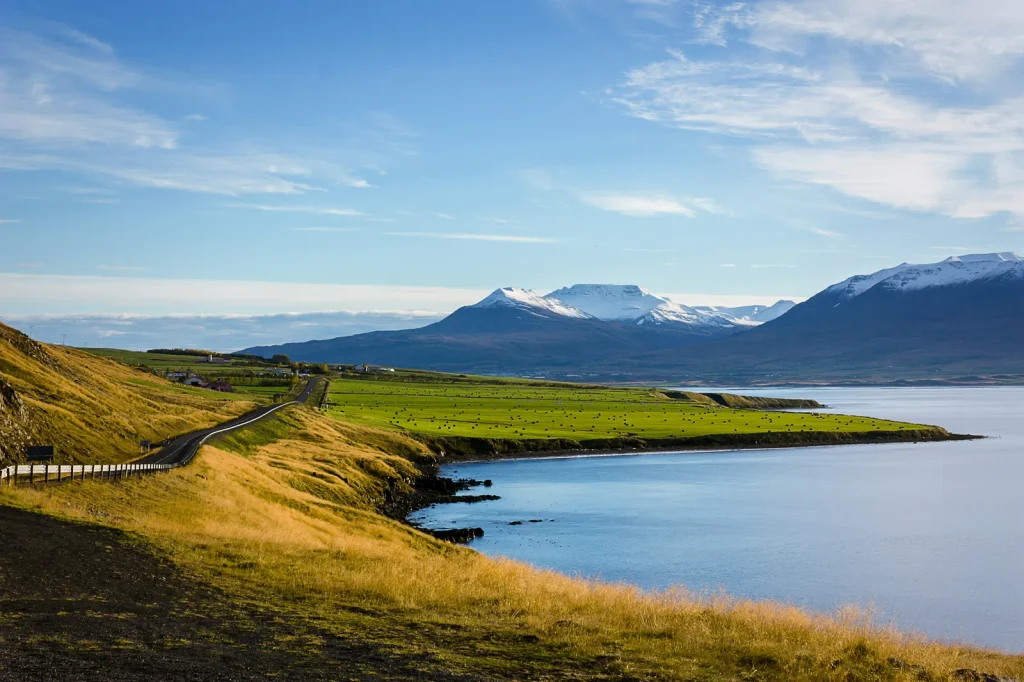 Coastal road along green farmland and a fjord in rural Iceland with snow-capped mountains