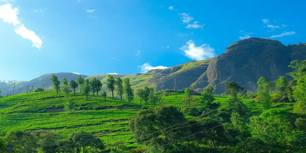 Terraced tea plantation hills in Munnar, Kerala, India