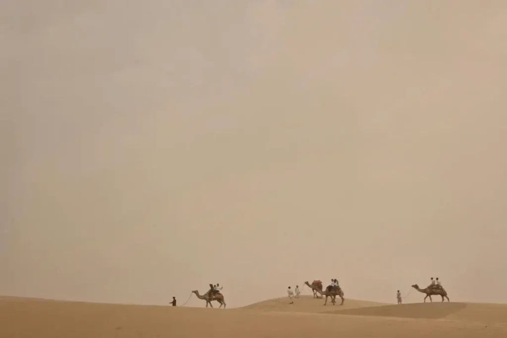 Camel caravan crossing the Thar Desert, Rajasthan, India