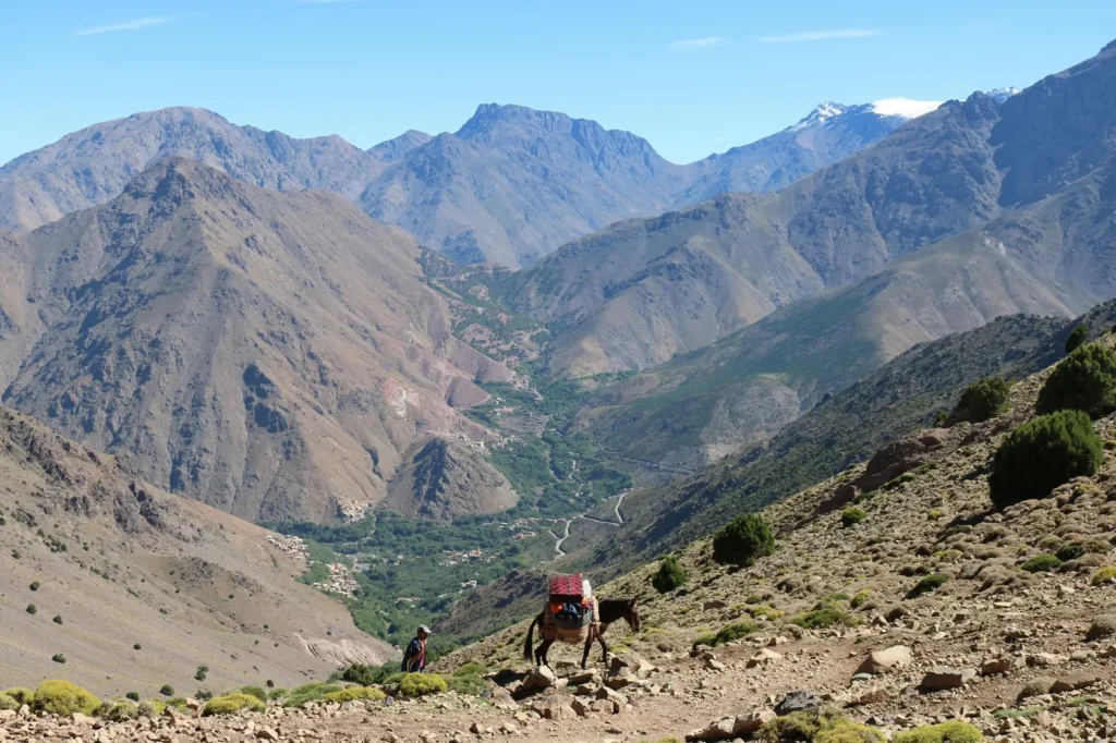 Hiker and pack mule on a mountain trail in Morocco's High Atlas, with a green valley and snow-capped peaks in the distance