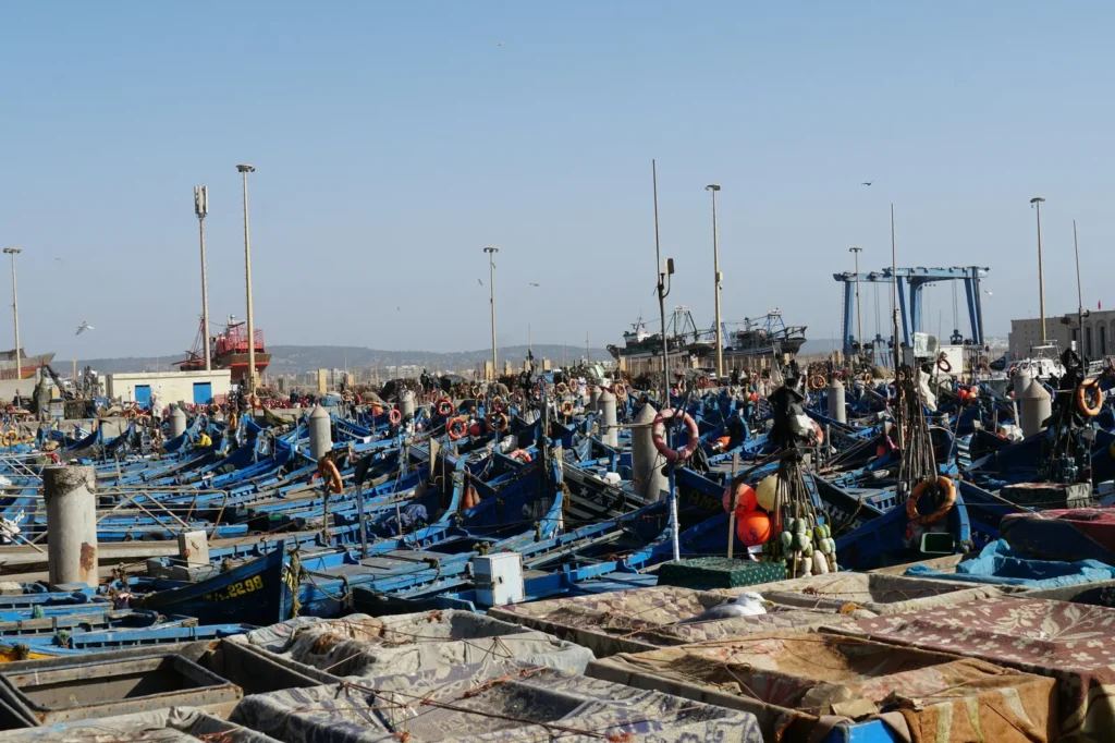 Rows of blue fishing boats crowded in the harbor at Essaouira, Morocco