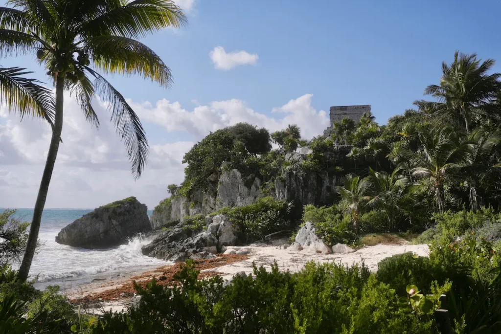 Tulum ruins on a cliff above the Caribbean Sea, framed by a palm tree