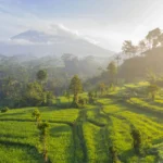 Best time to visit Bali rice terraces and coastline
