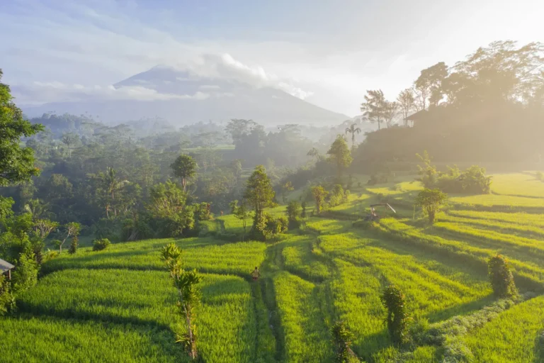 Best time to visit Bali rice terraces and coastline