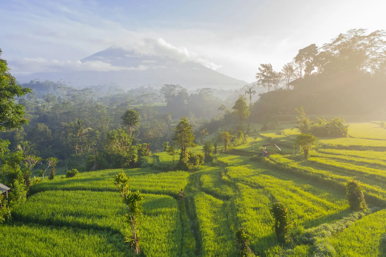 Best time to visit Bali rice terraces and coastline
