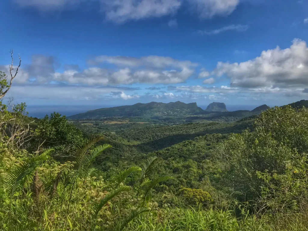 View of Black River Gorges National Park mountains in Mauritius
