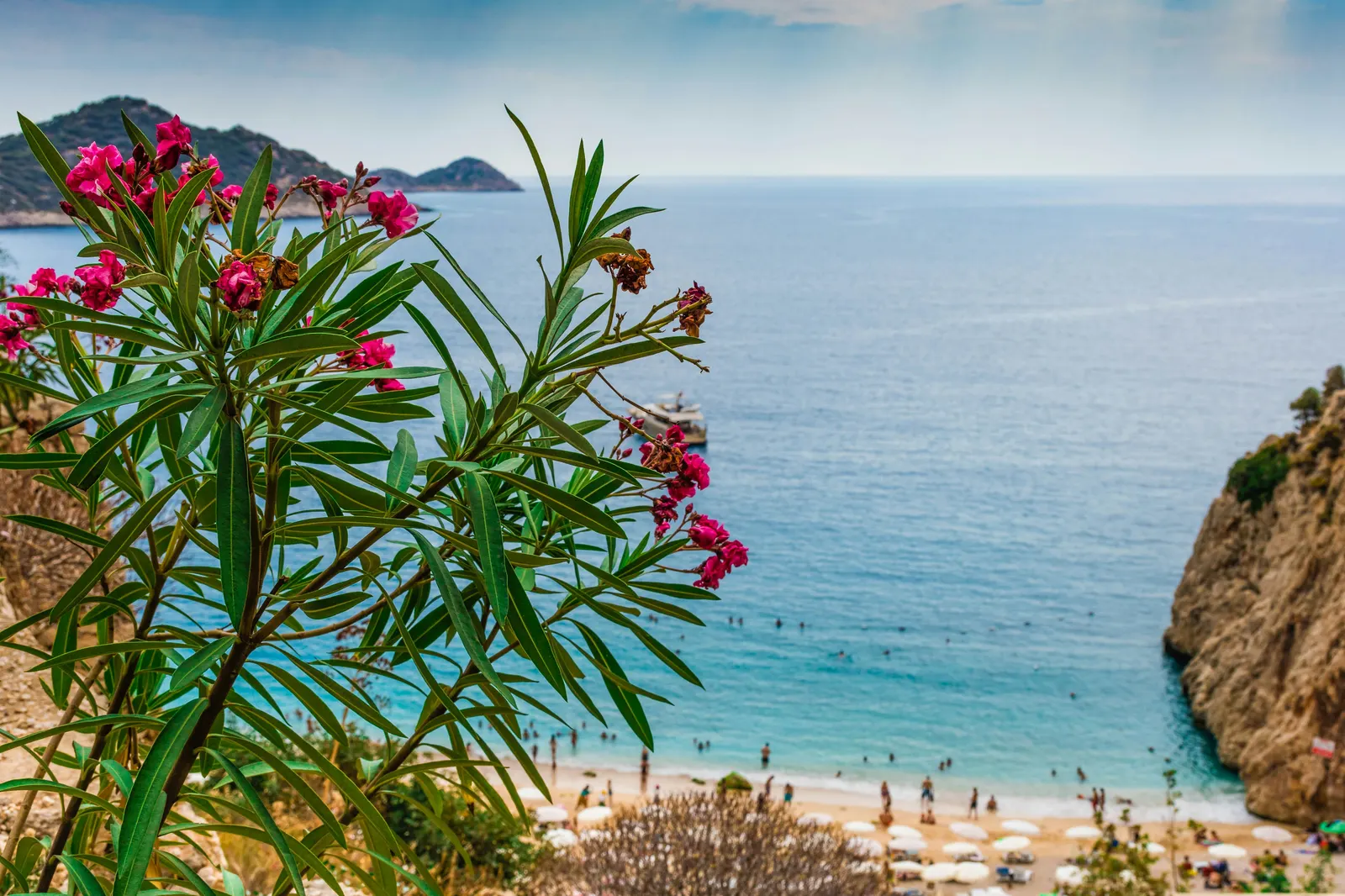 Pink oleander flowers framing a turquoise cove beach on Turkey's Mediterranean coast, with a boat anchored offshore