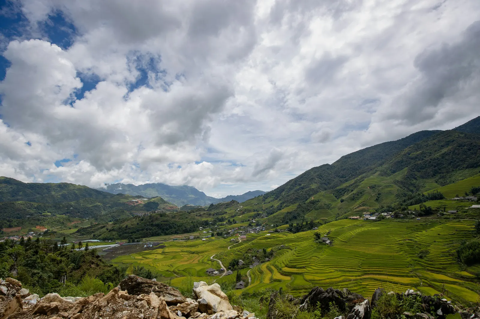 Terraced rice fields cascading down a mountainside near Sapa, northern Vietnam