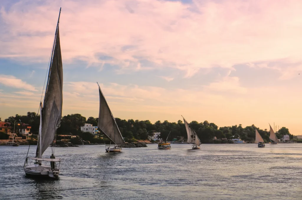 Traditional felucca sailboats on the Nile at sunset in Egypt